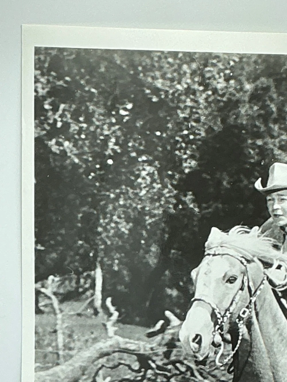 Roy Rogers & Trigger Glossy Photo Galloping Horse 8x10 Western Movie - Picture 2 of 6
